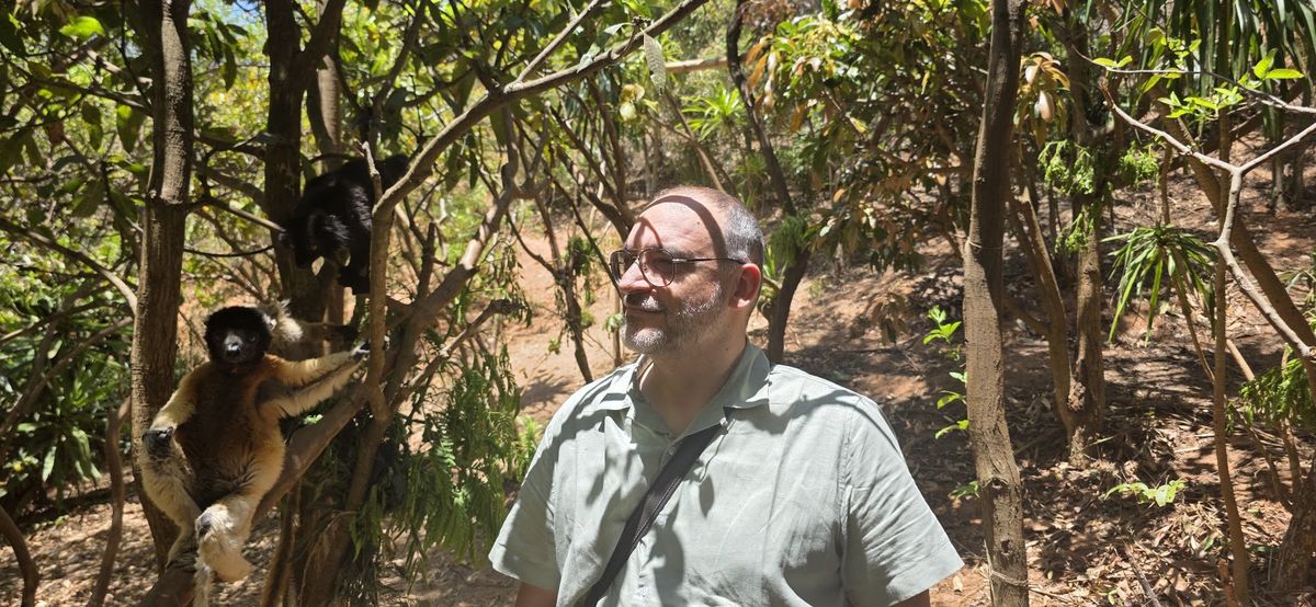 Deux sifakas dans les branches d'une forêt malgache, observés à quelques mètres de distance